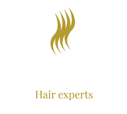 Atelier H2O logo